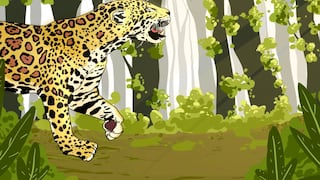 Jaguares: el reloj juega en contra para el gran felino de América 