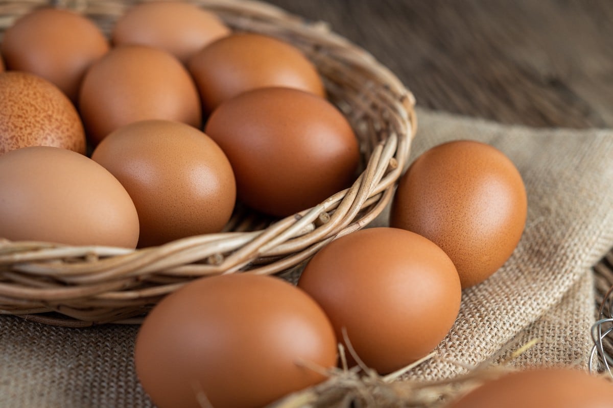 Los huevos son una gran fuente de proteínas, vitaminas (A, B12, D, E), minerales (hierro, zinc, selenio, fósforo), colina, y antioxidantes (luteína, zeaxantina). (Foto referencial: Freepik)