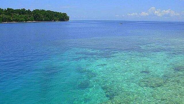Indonesia creará una santuario marítimo de 46.000 kilómetros en Papúa