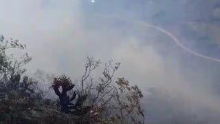 Áncash: incendio forestal destruye 25 hectáreas en el sector de Ogabamba