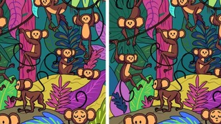 Detecta la única diferencia que existe entre las imágenes de monos en 5 segundos