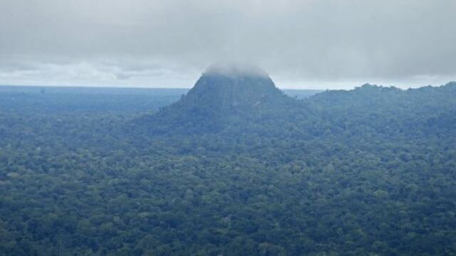 Sierra del Divisor: Avaaz felicita al Gobierno por crear parque