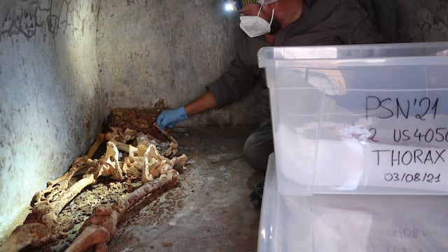 Hallan tumba con cuerpo momificado en Pompeya: el misterio de Marcus Venerius 