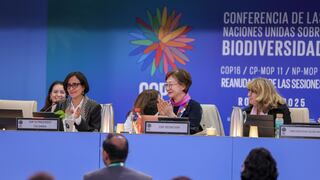 Cierra la COP16 con avances tímidos y dudas sobre cómo implementarlos