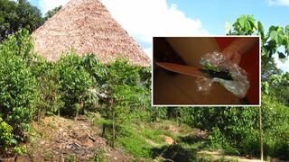 Iquitos: canadiense mató a británico en ceremonia de ayahuasca