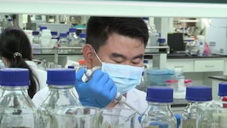 Científicos chinos sintetizan por primera vez almidón a partir de CO2