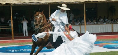 Noticias Patrocinadas