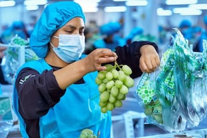 Midagri: Perú superó ventas por agroexportaciones en más de US$15 mil millones al cierre del 2025