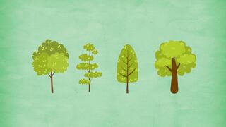 Seleccionando uno de los árboles sabrás cuáles son tus dos fortalezas más resaltantes