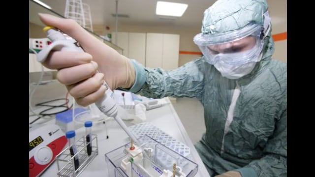Vacuna contra el ébola podría llegar en enero al África