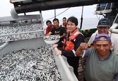 Pesca peruana entra en una nueva era impulsada por datos e inteligencia analítica