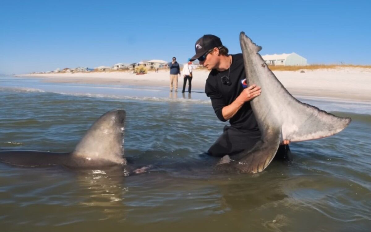 VIDEO VIRAL: un pescador de Florida captura sin ayuda un tiburón blanco de 1200 libras y 12 pies de largo. (Foto: Coastal Worldwide / YouTube)