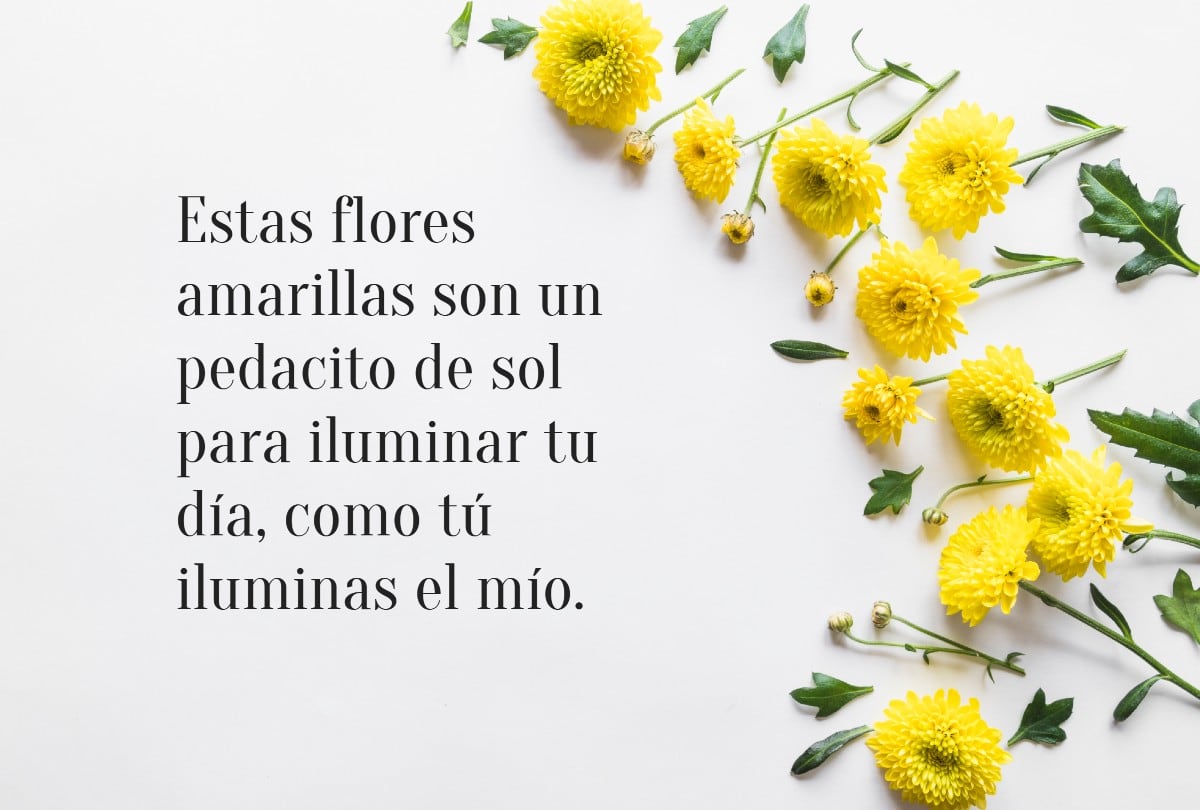 Si estás buscando palabras que acompañen un regalo lleno de cariño, estas frases harán que tu detalle sea inolvidable. | Crédito: Freepik