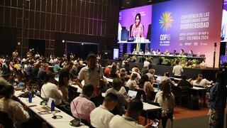 La primera semana de negociaciones de la COP16 avanzó a paso lento en el tema de financiamiento