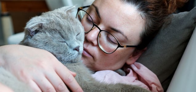 ¿Duermes con tu gato?: cómo convivir con tus felinos sin agravar tus alergias o asma