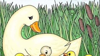 ¿Podrás encontrar la aguja en esta ilusión óptica en menos de 12 segundos?