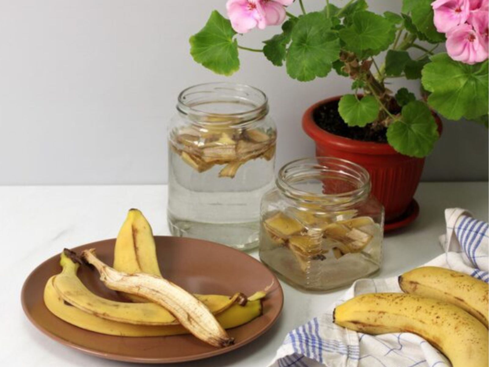 Distintas personas ya aplican este truco, pues brinda distintos beneficios en el hogar. (Crédito: Freepik)