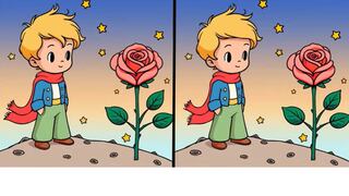 Descubre las 3 sutiles diferencias entre las imágenes del niño y la rosa