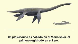 Científicos hallan por primera vez un plesiosaurio en el Perú