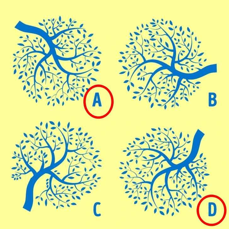 RETO VISUAL | Si te encantó resolver este rompecabezas con imágenes, compártelo con tus amigos y familiares y descubre quién lo hace mejor.