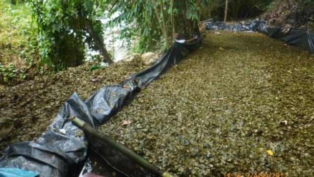 Destruyen laboratorio de droga que funcionaba en la selva de Ucayali
