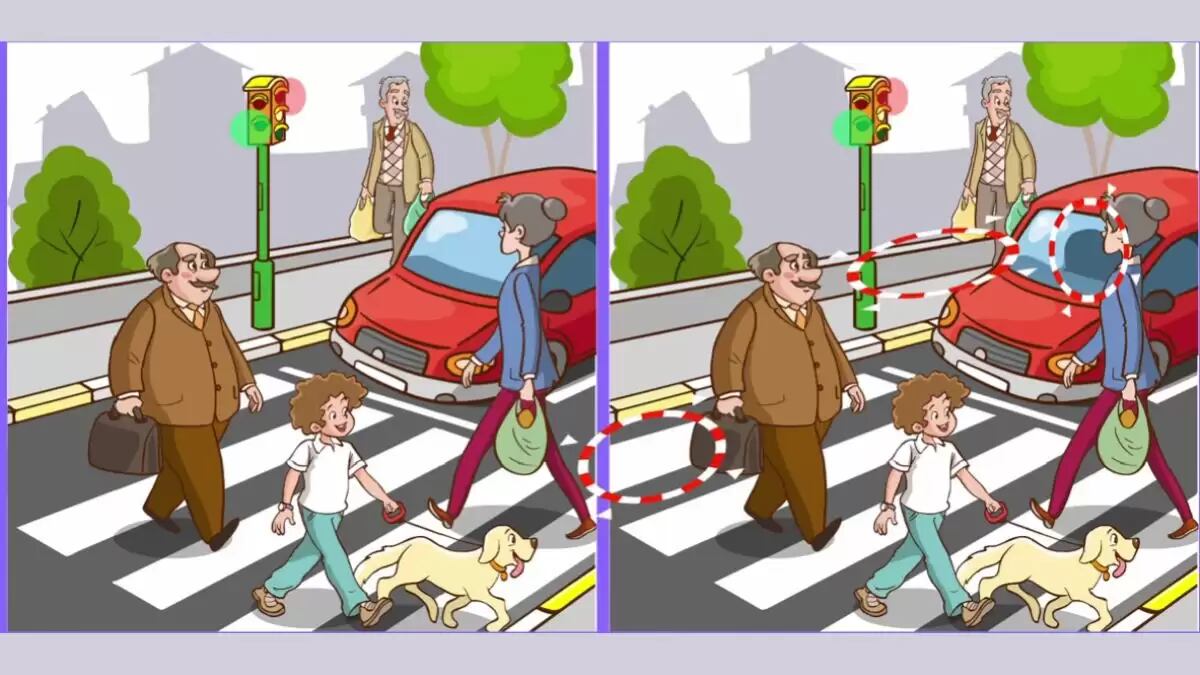 RETO VISUAL | Las diferencias entre ambas imágenes eran sutiles. ¿Lograste percibirlas?