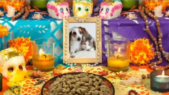 Día de Muertos de mascotas: ¿Cuándo llegan los perros y gatos al altar?