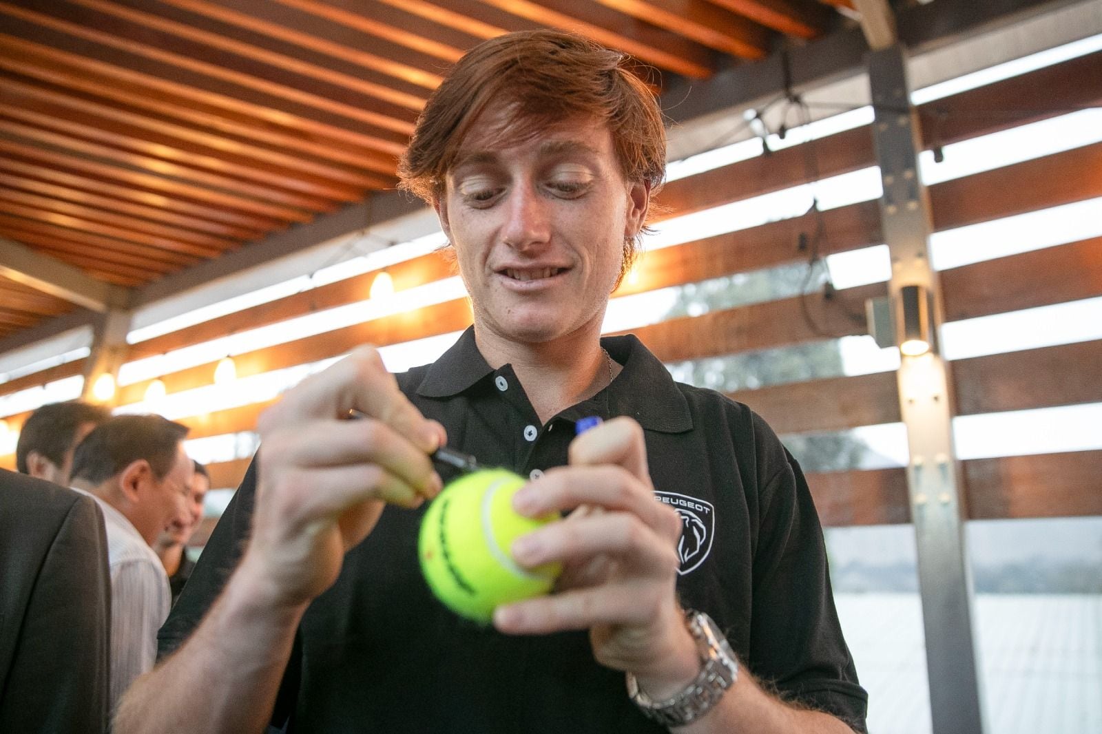 Tenis