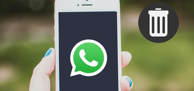 Aprende a vaciar todos tus chats de WhatsApp en pocos segundos