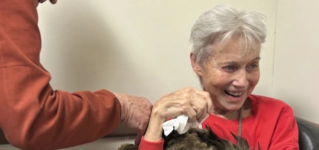 El reencuentro más emotivo: mujer de Los Ángeles halla a su gato dos meses después de incendios