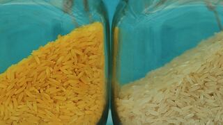 Lo que debes saber sobre el arroz dorado