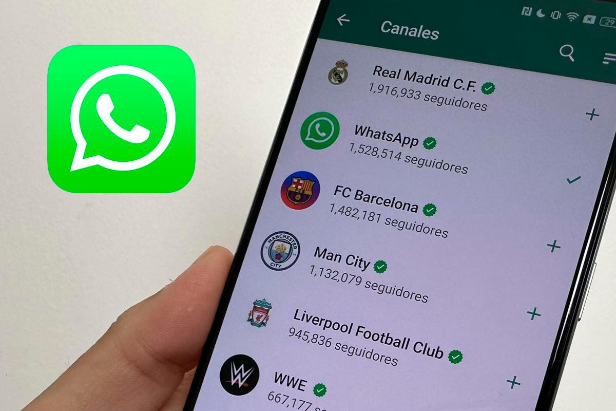 WHASTAPP | La aplicación acaba de crear un total de 7 categorías para los canales. (Foto: Mag)