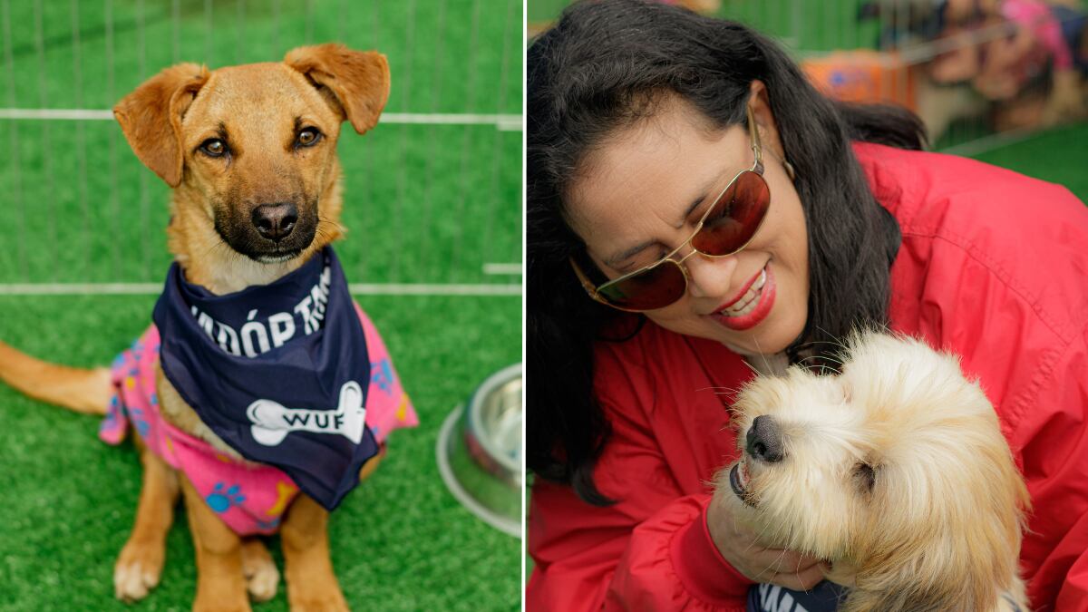 WUF y Subaru se unieron en el centro comercial Plaza Santa Catalina para promover la adopción de mascotas en el Día del Perro Adoptado.