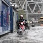 Alerta por clima en Nueva York: lluvias, tormentas eléctricas y una amenaza que preocupa este fin de semana
