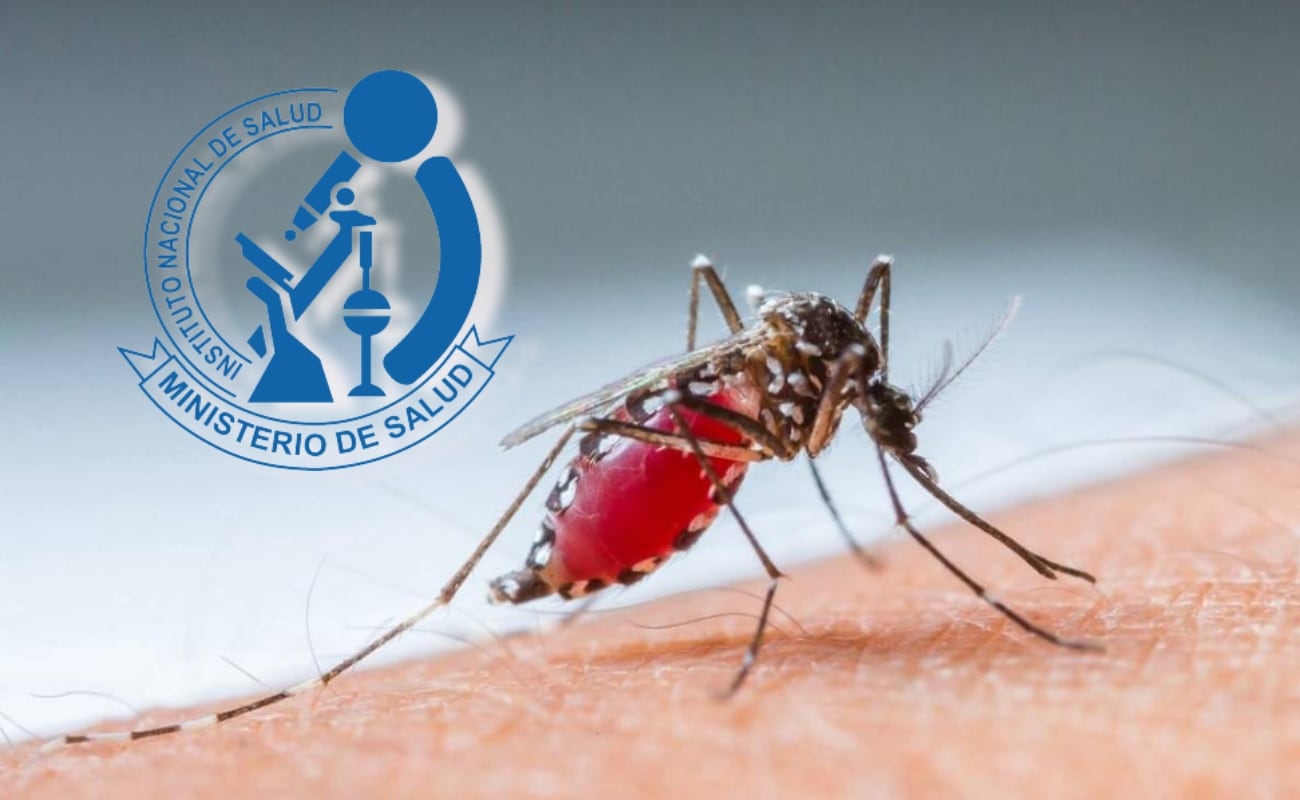 ¿Quiénes serían más propensos a enfermarse de dengue, según expertos del INS