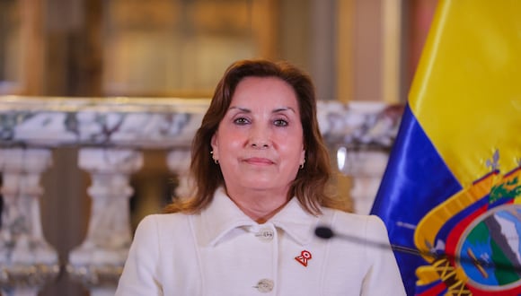 La presidenta Dina Boluarte debería observar las leyes sobre lesa humanidad y crimen organizado, según Transparencia. (Foto: Presidencia)