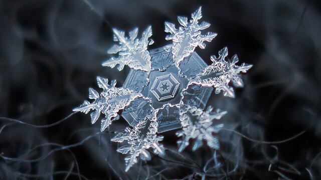 La deslumbrante belleza de los cristales de hielo que componen la nieve [FOTOS]