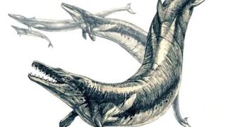 Basilosaurus Isis, el superdepredador marino más grande y letal de la prehistoria
