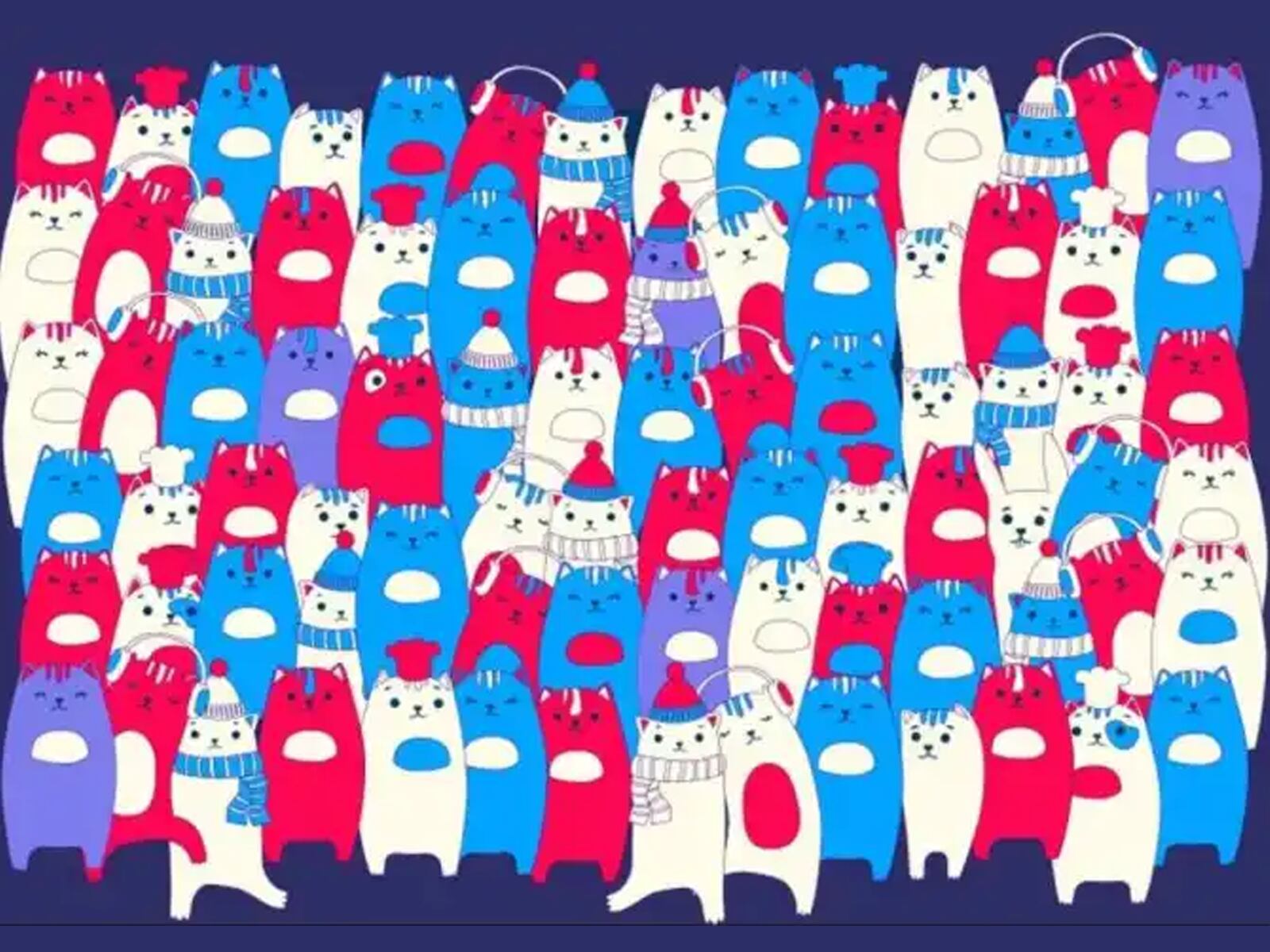 RETO VISUAL | Mientras la mayoría se concentra en los gatos, ¿podrás descubrir al escurridizo conejo en tan solo 8 segundos? | Bright Side