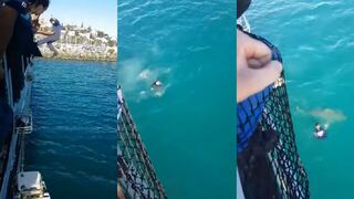 Lanzaron a hombre al mar sin darse cuenta que un tiburón estaba cerca | VIDEO | FOTOS