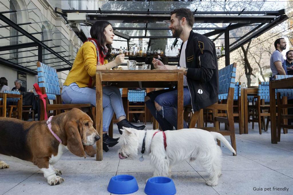 ¿Cuáles son los centros comerciales Pet Friendly en Lima donde puedes entrar con tu mascota? (Foto: Ubicity)