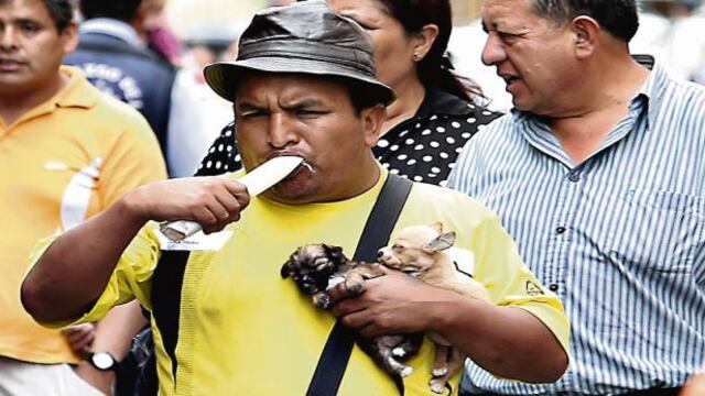 Venta ilegal de animales continúa en el centro de Lima