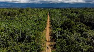 Las deudas ambientales en Perú 2024: un año de debilitamiento ambiental y el avance de las economías ilegales