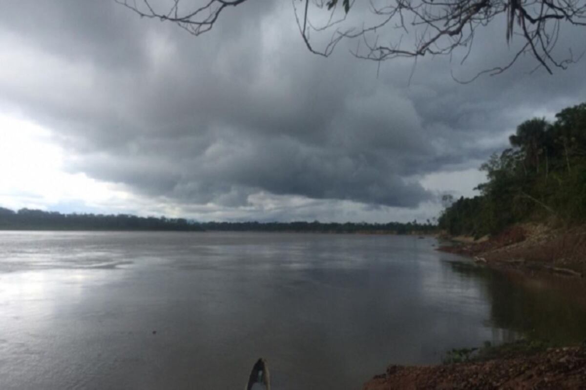 Ráfagas de viento de más de 55 km/h impactarán la selva peruana hasta el martes, según Senamhi. (Foto: Andina)