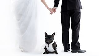 Matrimonio con mascotas: Los míos, los tuyos y los nuestros