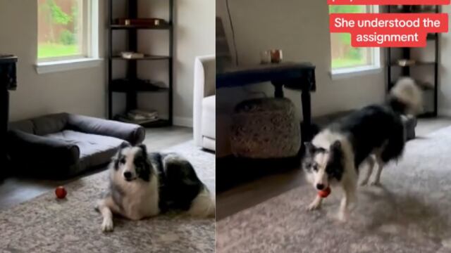 El truco de una mujer de Texas para que su perro no esté ansioso durante los truenos
