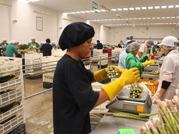 El PBI acumuló una expansión de 2,8% durante los primeros meses del año. Foto: Agencia Andina.