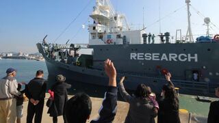Japón y la caza de ballenas, una larga historia