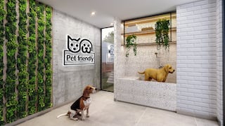 Conoce a San Charbel, la primera inmobiliaria ‘pet friendly’ de Lima