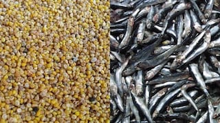La anchoveta y la quinua: dos armas contra la desnutrición
